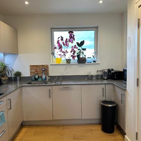 Luxury 3 Bedroom Flat In Stratford, Londra Exterior foto