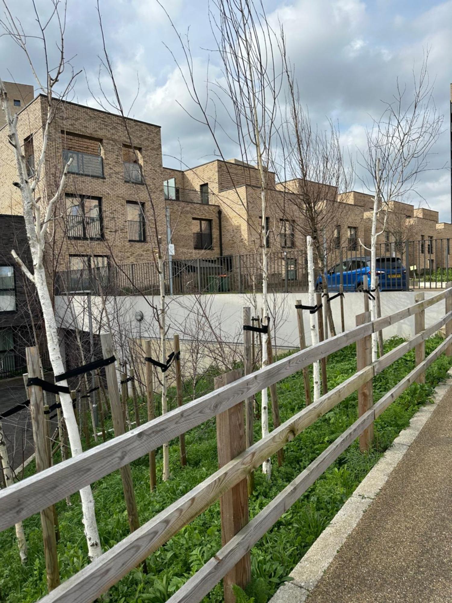 Luxury 3 Bedroom Flat In Stratford, Londra Exterior foto